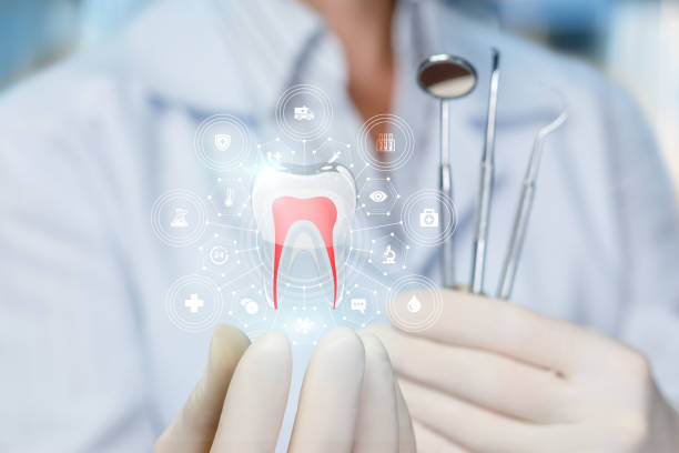 Trusted Perezville, TX Holistic Dental Care Services Experts